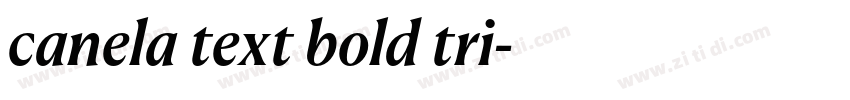 canela text bold tri字体转换